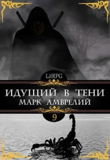 Идущий в тени. Книга 9